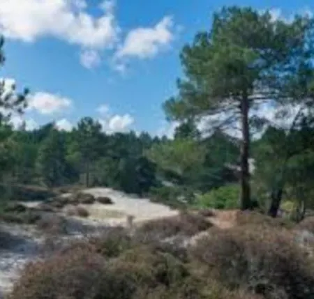 Finn, Met Grote Tuin En Veel Privacy * Dirkshorn