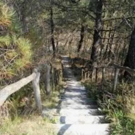 Finn, Met Grote Tuin En Veel Privacy Сasa de vacaciones Dirkshorn