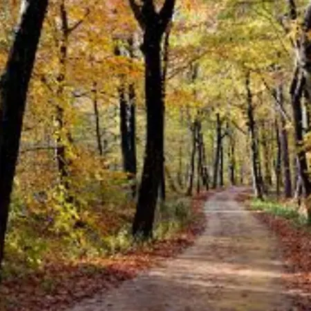 Finn, Met Grote Tuin En Veel Privacy Сasa de vacaciones