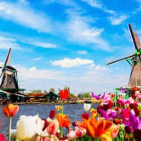 Finn, Met Grote Tuin En Veel Privacy * Dirkshorn