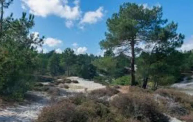 Finn, Met Grote Tuin En Veel Privacy * Dirkshorn