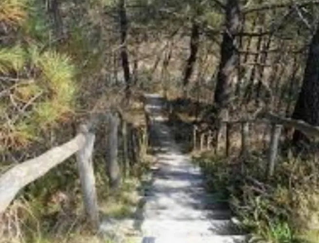 Finn, Met Grote Tuin En Veel Privacy Casa vacanze Dirkshorn