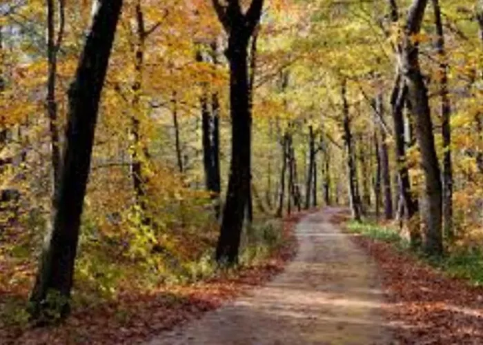 Finn, Met Grote Tuin En Veel Privacy Casa vacanze