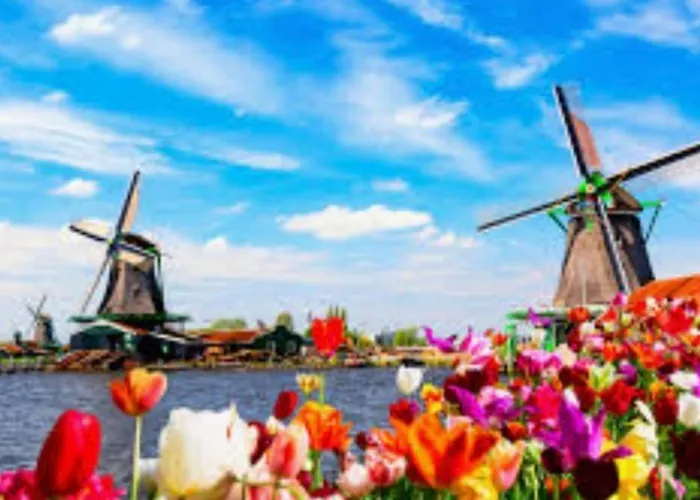 Finn, Met Grote Tuin En Veel Privacy * Dirkshorn